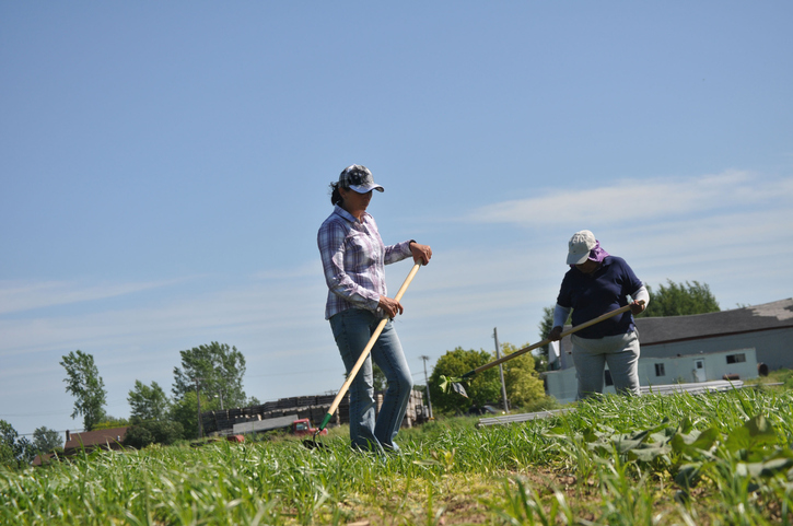 immigrant farm workers